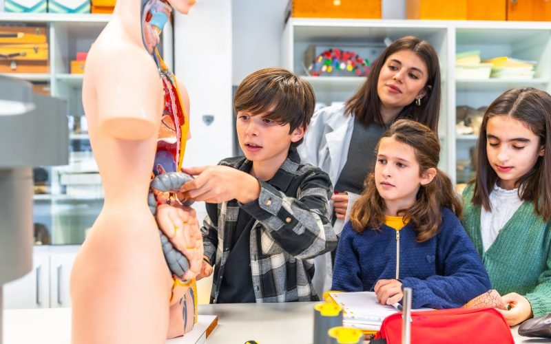 Elementary school students learning human body anatomy with teacher and anatomical model during biology class